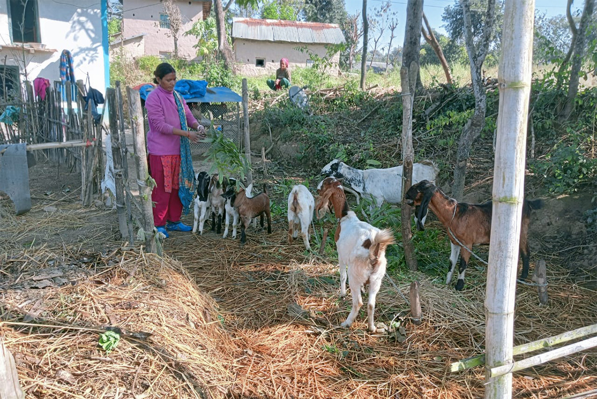 Laxmi-Bhandari.jpg